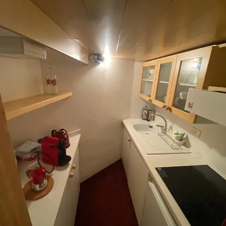 The Nest Alpine Loft Ski-in Ski-out Breuil-Cervinia