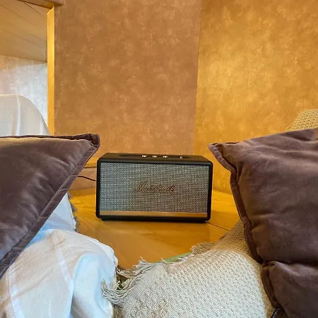 The Nest Alpine Loft Ski-in Ski-out 布勒伊-切尔维尼亚