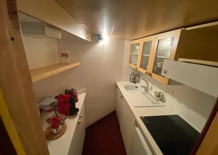 The Nest Alpine Loft Ski-in Ski-out 布勒伊-切尔维尼亚