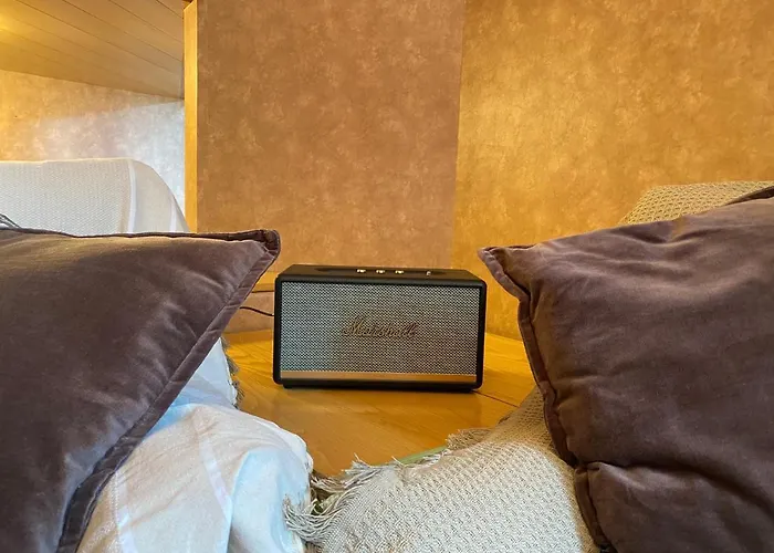 The Nest Alpine Loft Ski-in Ski-out 布勒伊-切尔维尼亚